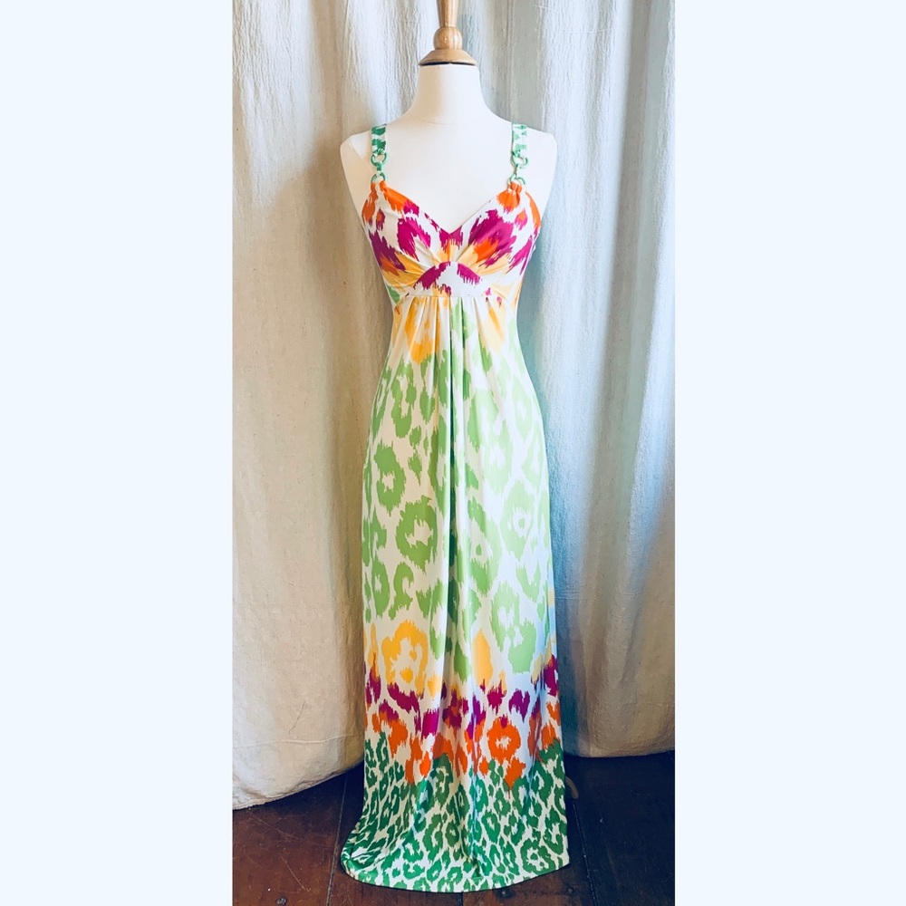 Alyn Paige Ikat Multi-Color Maxi Dress Size Small
